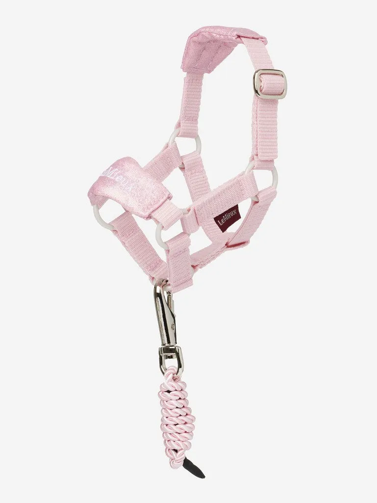 Mini LeMieux Toy Pony Halter