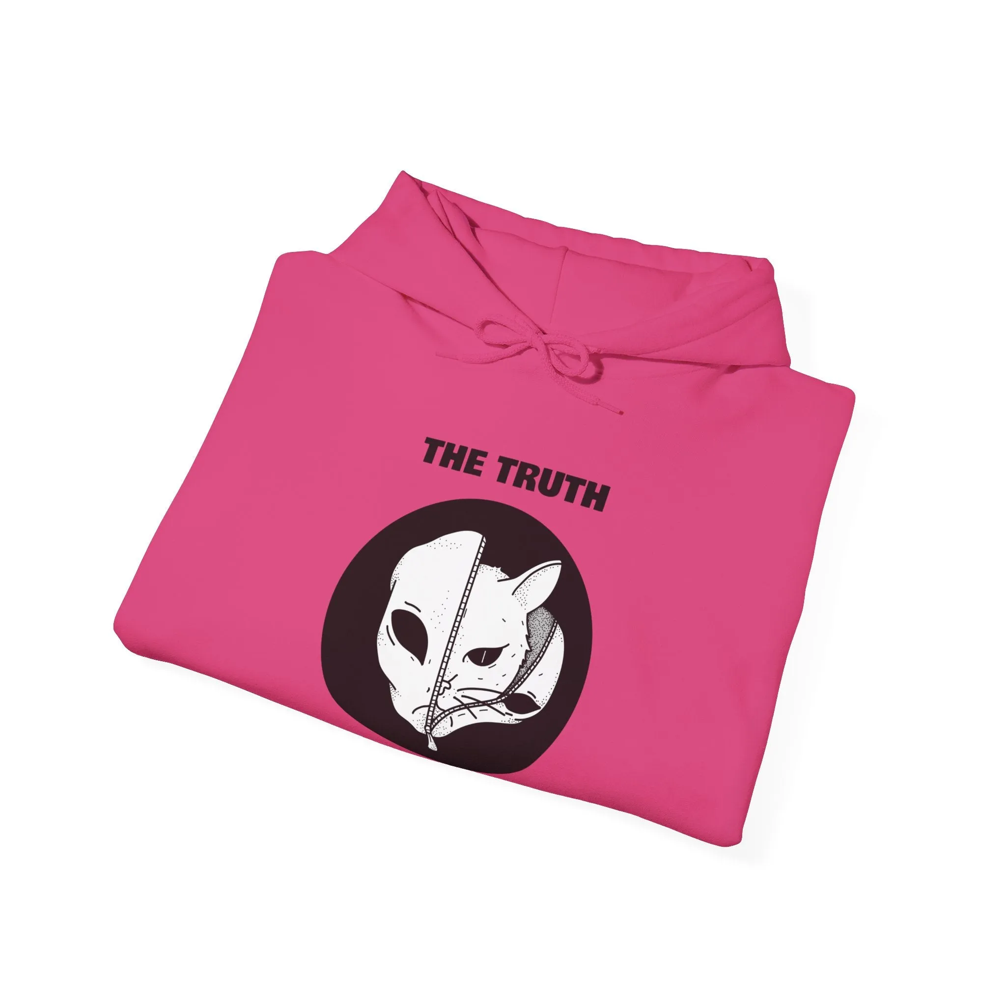 The Truth Is Out There Alien And Cat Sci-Fi Hoodie